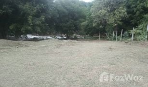 N/A Land for sale in Ban Luang, Chiang Mai 