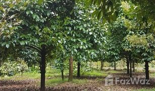 N/A Land for sale in Wang Sappharot, Chanthaburi 