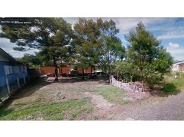  Terreno for sale in Rio Grande do Sul, Sapiranga, Sapiranga, Rio Grande do Sul