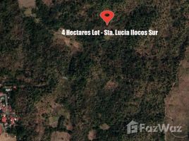 N/A Land for sale in Santa Lucia, Ilocos 4 Hectares Agricultural Lot for Sale in Sta. Lucia
