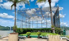 Фото 2 of the Communal Garden Area at The Royal Princess Condominium