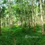  Terrain for sale in South Sumatera, Gelumbang, Muara Enim, South Sumatera