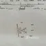  Land for sale in Wang Sai, Nakhon Ratchasima, Wang Sai, Pak Chong, Nakhon Ratchasima, Thailand
