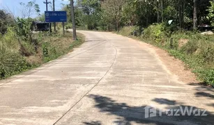 N/A Grundstück zu verkaufen in Ko Yao Noi, Phangnga 