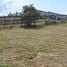  Terrain for sale in Atenas, Alajuela, Atenas