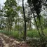  Land for sale in Mae Rim Chiang Mai, Mae Raem, Mae Rim, Chiang Mai