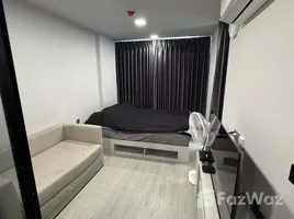 อพาร์ทเม้นท์ 1 ห้องนอน ให้เช่า ในโครงการ แอทโมซ โอเอซิส อ่อนนุช, สวนหลวง, สวนหลวง