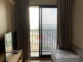 คอนโด 1 ห้องนอน ให้เช่า ในโครงการ คอมมอน ทียู, คลองหนึ่ง