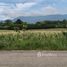  Land for sale in Mu Si, Nakhon Ratchasima, Mu Si