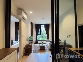 1 Bedroom Condo for rent at THE BASE Central Phuket, Wichit