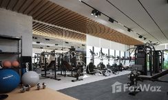 Photo 3 of the Communal Gym at Adhara Star