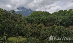 N/A Grundstück zu verkaufen in Chiang Dao, Chiang Mai 