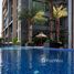 4 chambre Penthouse à vendre à The Star Hill Condo., Suthep, Mueang Chiang Mai, Chiang Mai