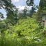  Land for sale in Phuket, Karon, Phuket Town, Phuket