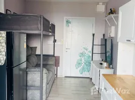 คอนโด 1 ห้องนอน ให้เช่า ในโครงการ พลัมคอนโด รามคำแหง, สวนหลวง, สวนหลวง, กรุงเทพมหานคร, ไทย