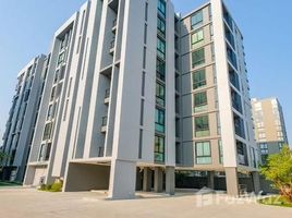 1 Bedroom Condo for sale at Palm Springs Nimman RY, Suthep