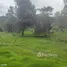 在Antioquia出售的 土地, San Pedro De Los Milagros, Antioquia