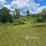  Terreno (Parcela) en venta en Buenavista, Central Visayas, Buenavista, Bohol