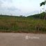 在FazWaz.cn出售的 土地, Chong Mai Kaeo, Thung Tako, 春蓬, 泰国