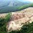  Land for sale in Bang Muang, Phangnga, Bang Muang, Takua Pa, Phangnga, Thailand