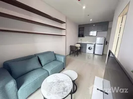 1 Bedroom Condo for rent at Skyrise Avenue Sukhumvit 64, Bang Chak, Phra Khanong, Bangkok, Thailand