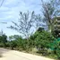  Terreno (Parcela) en venta en Phuket, Choeng Thale, Thalang, Phuket