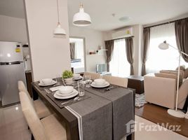 2 Bedroom Condo for rent at D Condo Creek, Kathu, Kathu, Phuket, Thailand