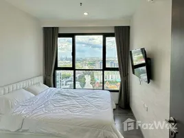 ขายคอนโด 1 ห้องนอน ในโครงการ เดอะ เบส พาร์ค เวสต์ สุขุมวิท 77, พระโขนงเหนือ