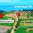  Земельный участок for sale in Phe, Районг, Phe, Мыанг Районг, Районг