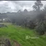 在Antioquia出售的 土地, San Pedro De Los Milagros, Antioquia