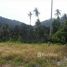 N/A Terrain a vendre à Pulau Betong, Penang 182 Rai Land in the Center of Penang
