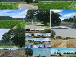 N/A Land for sale in Phra Non, Nakhon Sawan 10-2-91 Rai Land for Sale near Nong Pling intersection