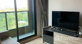 ยูนิตมือสองและให้เช่า