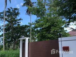 2 Bedroom House for rent in Rawai, Phuket, Rawai, Phuket Town, Phuket, Thailand