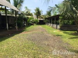  Land for sale in Badung, Bali, Mengwi, Badung