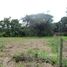 在Orotina, Alajuela出售的 土地, Orotina