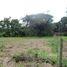  Land for sale in Alajuela, Orotina, Alajuela