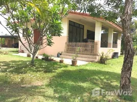 ขายบ้านเดี่ยว 7 ห้องนอน ใน ตลาดใหญ่, เชียงใหม่, ตลาดใหญ่, ดอยสะเก็ด, เชียงใหม่