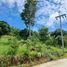  Land for sale in Koh Samui, Bo Phut, Koh Samui