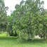  Terreno (Parcela) en venta en San José, Goicoechea, San José