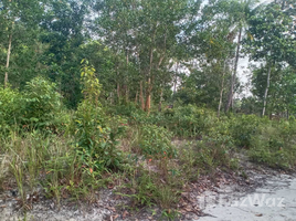  Grundstück zu verkaufen in Ko Pha-Ngan, Surat Thani, Ko Pha-Ngan, Ko Pha-Ngan