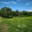  Land for sale in Pran Buri, Hua Hin, Pran Buri, Pran Buri