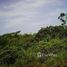  Land for sale in Puntarenas, Coto Brus, Puntarenas