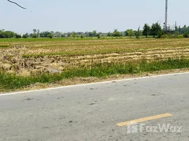  Terreno (Parcela) en venta en Chiang Mai, Samran Rat, Doi Saket, Chiang Mai