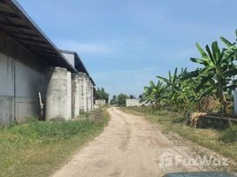  Земельный участок for sale in Таиланд, Na Mai, Lat Lum Kaeo, Патумтани, Таиланд