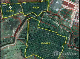  Terrain for sale in Phangnga, Na Toei, Thai Mueang, Phangnga