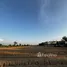 ขายที่ดิน ใน ทรายกองดิน, กรุงเทพมหานคร, ทรายกองดิน