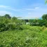 ขายที่ดิน ใน ท่าทราย, นนทบุรี, ท่าทราย