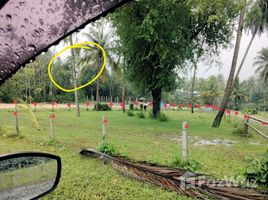 ขายที่ดิน ใน ท้ายเหมือง, พังงา, ท้ายเหมือง, ท้ายเหมือง