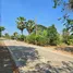  Land for sale in Khlong Hok, Pathum Thani, Khlong Hok, Khlong Luang, Pathum Thani, Thailand